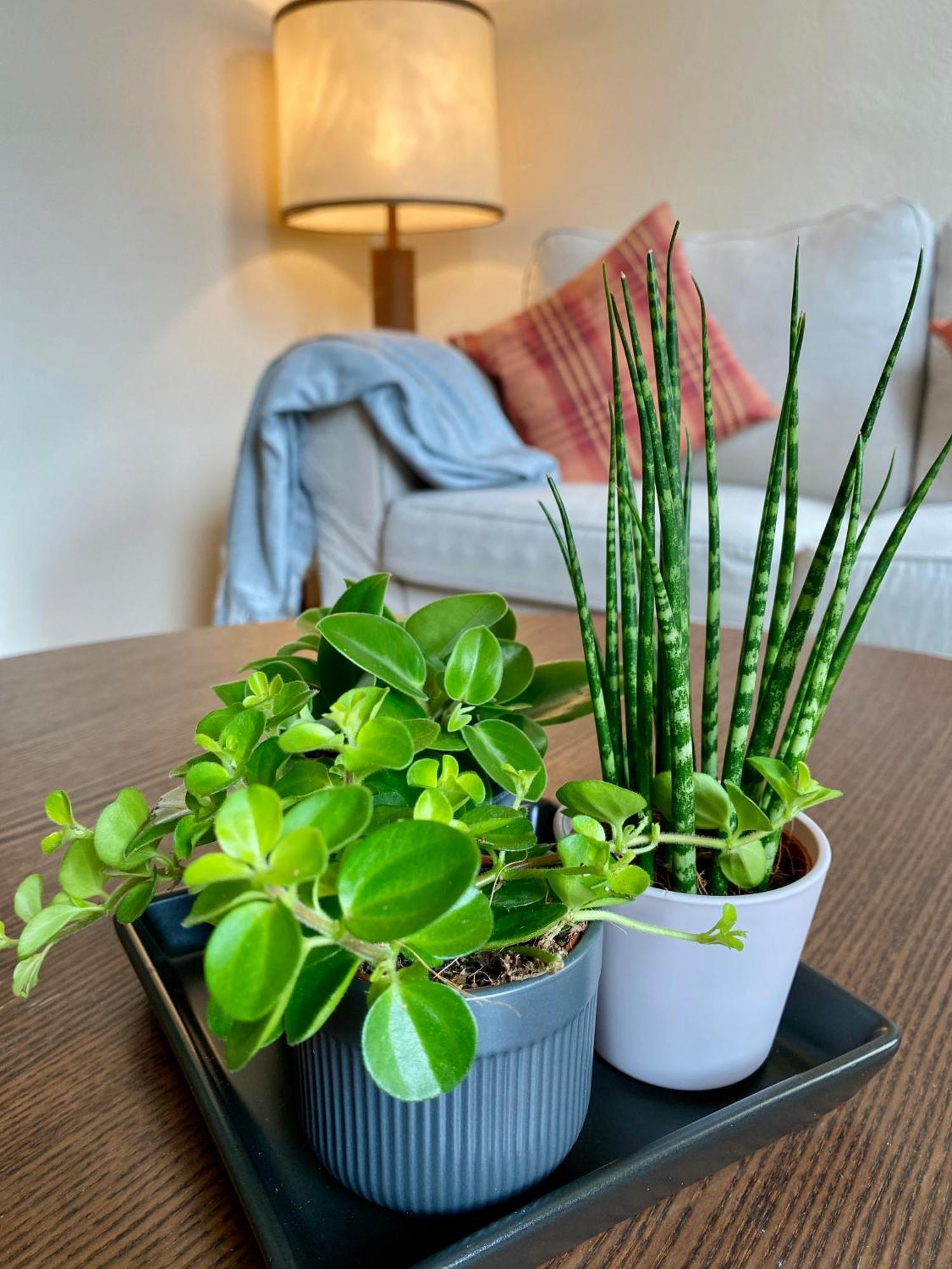 Ba Em City Apartment Wiesbaden Zewnętrze zdjęcie