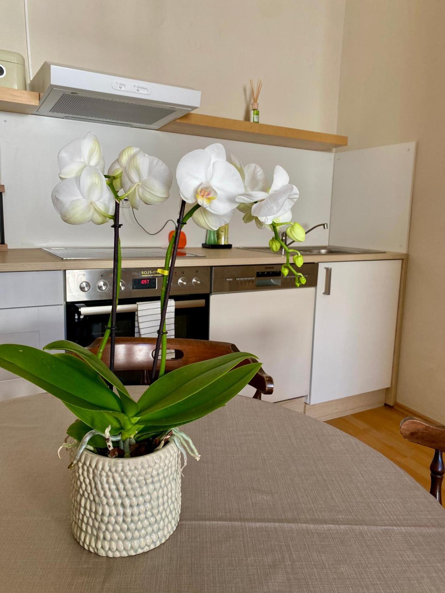 Ba Em City Apartment Wiesbaden Zewnętrze zdjęcie